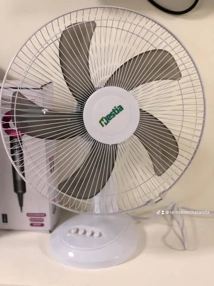 Table fan 